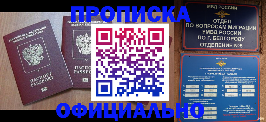 найти адрес прописки в Ершове